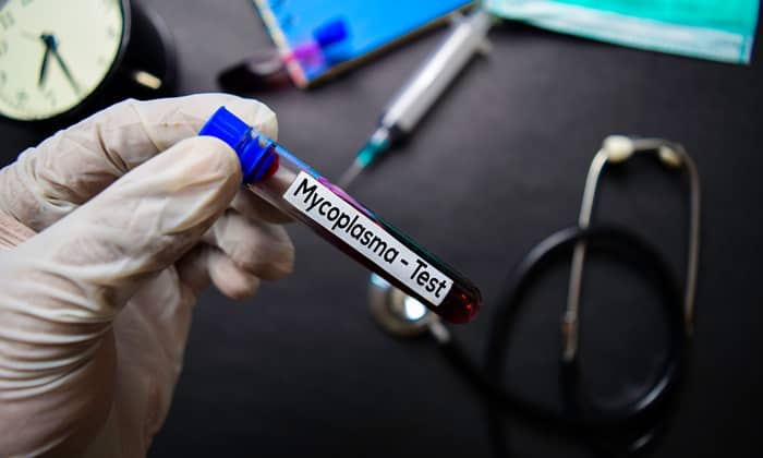 Mycoplasma คืออะไร