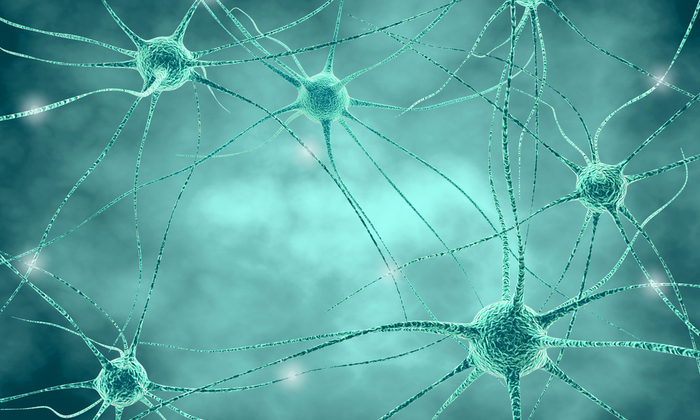 โรคท้าวแสนปม สาเหตุ อาการ และปัจจัยเสี่ยง