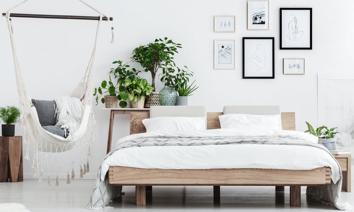 5 ต้นไม้ ฟอกอากาศ เสริมสุขภาพแห่งการนอนหลับ