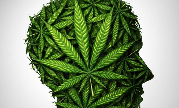 กัญชารักษาโรค ได้จริง? หรือแค่มโนกันไปเอง