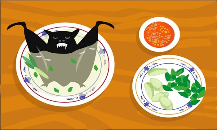 ค้างคาว เมนูเปิบพิสดาร ที่เป็นมากกว่าพาหะไวรัสโคโรนา