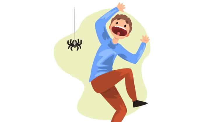 ใครเป็น โรคกลัวแมงมุม ฟังทางนี้ วิธีเหล่านี้อาจช่วยจัดการกับอาการกลัวแมงมุมได้