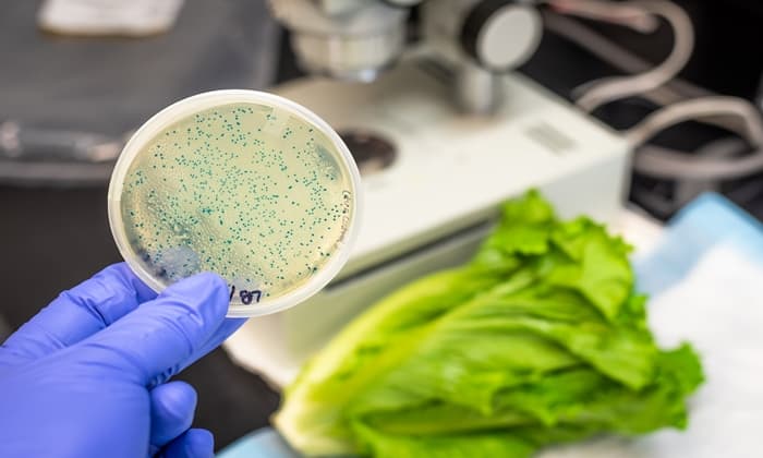 เชื้อจุลินทรีย์ในอาหาร ที่พบบ่อย และต้องระวังให้ดี หากคุณไม่อยากมีปัญหาสุขภาพ