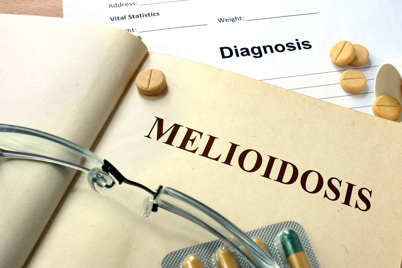 โรคเมลิออยด์ อีกหนึ่งโรคร้ายที่มากับฝน