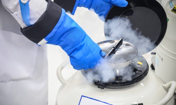 แช่แข็งเซลล์ไข่ ประโยชน์ และผลข้างเคียง