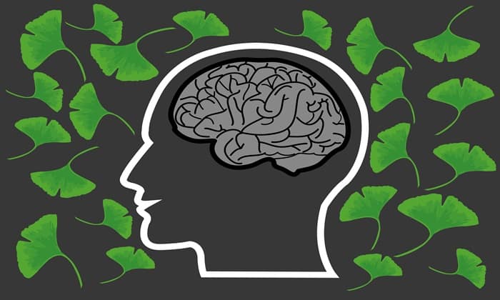 อยากให้สมองมีสุขภาพดี ไม่ยาก แค่ใช้ สมุนไพรบำรุงสมอง