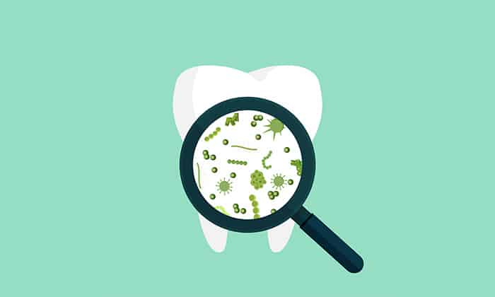 แบคทีเรียในช่องปาก ร้ายกว่าที่คิด นอกจากทำฟันผุ  ยังเป็น ตัวการมะเร็งลำไส้ใหญ่