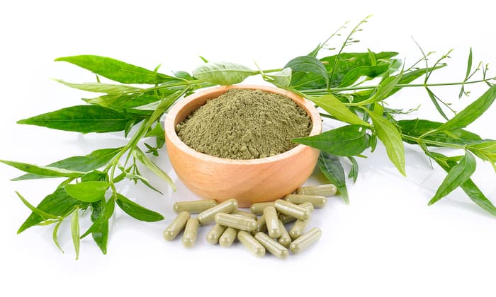 กรมการแพทย์แผนไทย แนะนำใช้ สมุนไพรฟ้าทะลายโจร ต้านโควิด-19 จริงหรือไม่