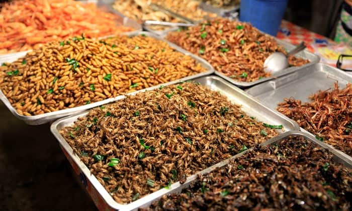 แมลงกินได้ อาหารแห่งอนาคต แปลกแต่อุดมไปด้วยประโยชน์