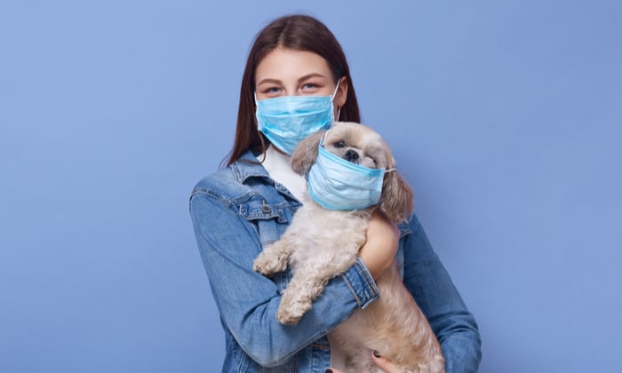 ไขข้อสงสัย! สัตว์ติดเชื้อไวรัสโควิด-19 ได้จริงหรือไม่?