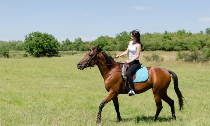 บำบัดสุขภาพจิต ด้วยการ ขี่ม้า กีฬาอีกชนิดที่สำหรับคนรักสัตว์