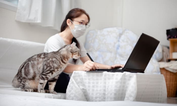 การดูแลสัตว์เลี้ยง ในช่วงโควิดระบาด อย่างไร ให้สัตว์เลี้ยงของคุณปลอดภัย