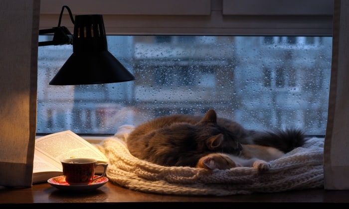 แค่นอน ฟังเสียงฝน ลดความเครียด ได้จริงหรือไม่