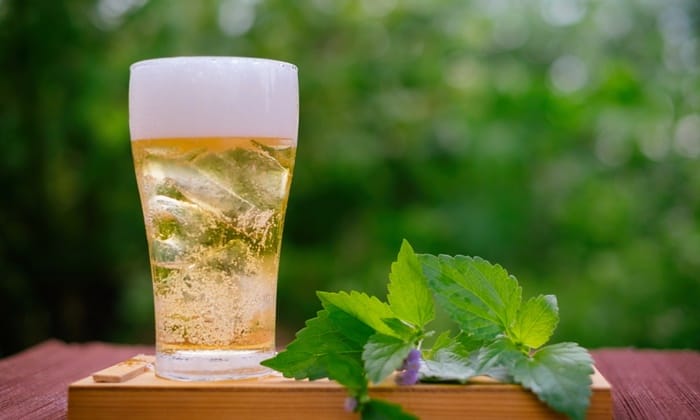 คนเป็น ความดันต่ำ ดื่มเบียร์ แล้วจะช่วยได้จริง ๆ เหรอ