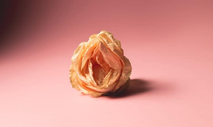 ความใคร่ ที่ลดลงในวัยหมดประจำเดือน รับมือได้อย่างไร