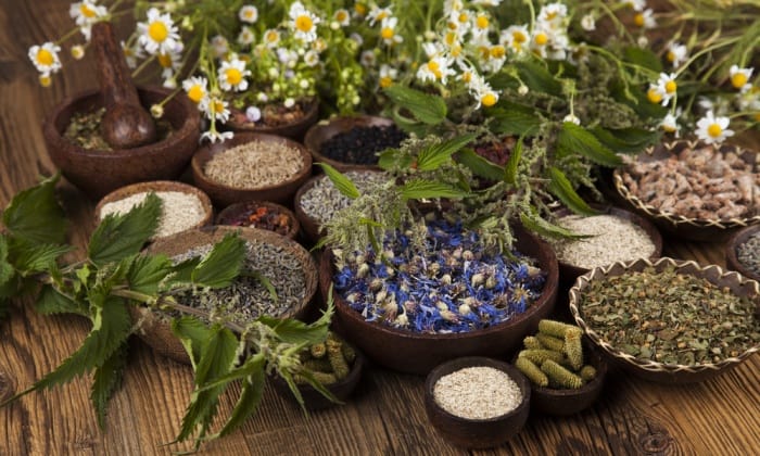 สมุนไพร คลายเครียด ลดความวิตกกังวล มีอะไรบ้างนะ