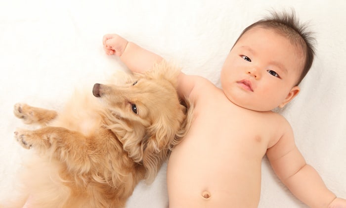 สัตว์เลี้ยงกับเด็ก อยู่ร่วมกันอย่างไร ไม่ให้ส่งผลเสียต่อสุขภาพ