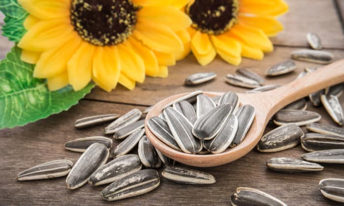 เมล็ดทานตะวัน เคี้ยวมันส์..เคี้ยวเพลิน อร่อยได้สุขภาพ