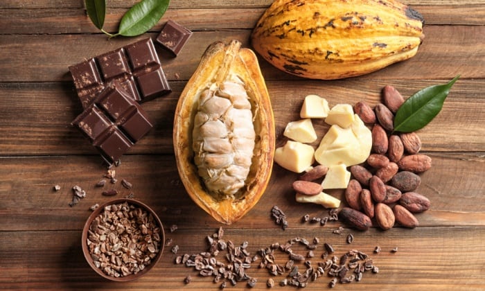 คาเคา กับ โกโก้ ความเหมือนที่ต่างกัน