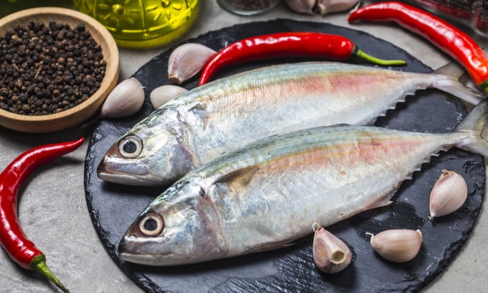 ปลาทู คุณประโยชน์ครบเครื่อง ไม่แพ้ปลาทะเลชนิดอื่น ๆ