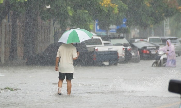 โรคเมลิออยโดสิส ภาวะจากแบคทีเรีย ที่มาพร้อมกับความชุ่มชื้นในหน้าฝน