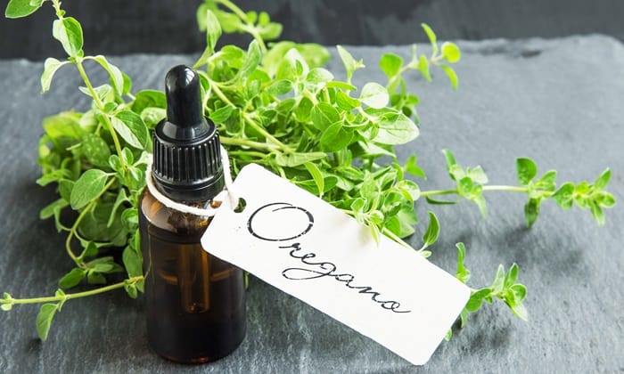น้ำมันออริกาโน (Oregano Oil) กับประโยชน์ด้านสุขภาพ