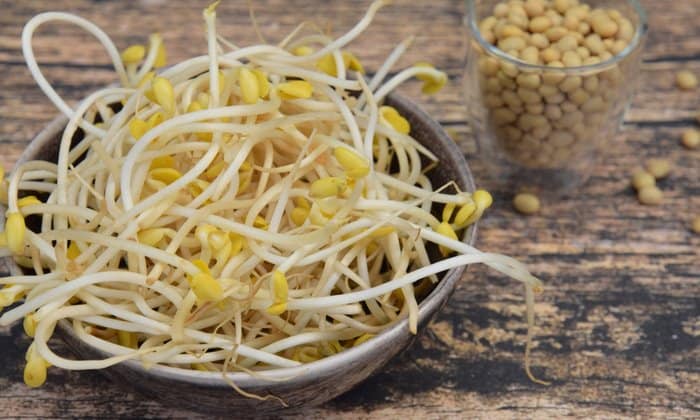 ถั่วงอก ผักพื้นบ้านต้านโรค ที่ทุกครัวเรือนควรมีติดบ้าน