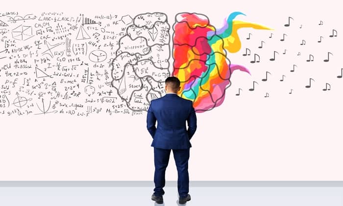 สมองซีกซ้าย สมองซีกขวา แตกต่างกันจริงไหม และสมองทำงานอย่างไร