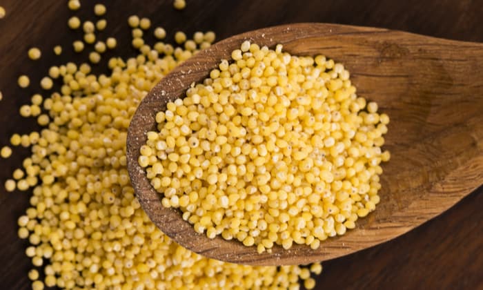 ข้าวฟ่าง ธัญพืชเมล็ดจิ๋ว กับคุณประโยชน์แจ๋วเกินตัว