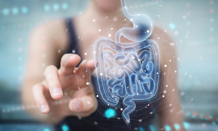 ระบบทางเดินอาหาร ระบบสำคัญของร่างกายที่เราควรต้องรู้