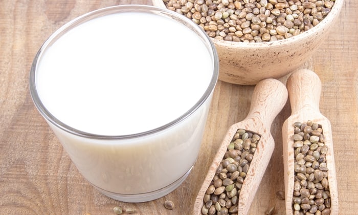 นมกัญชง น้ำนมจากพืช อีกทางเลือกใหม่ของสายเฮลท์ตี้