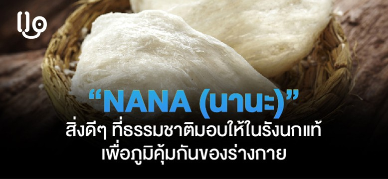 "NANA (นานะ)" ในรังนกแท้ สิ่งดีๆ ที่ธรรมชาติมอบให้ในรังนกแท้ เพื่อภูมิคุ้มกันของร่างกาย