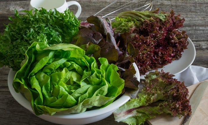 ผักสลัด ยอดนิยม และประโยชน์ต่อสุขภาพ