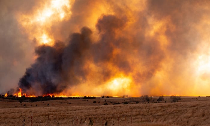ควันไฟป่า ส่งผลเสียต่อสุขภาพ ควรรับมือหรือป้องกันอย่างไร