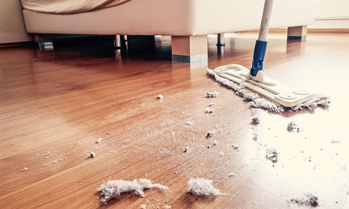 ใครชอบปล่อยให้บ้านรก ฝุ่นเขรอะ ระวังจะป่วยเพราะ แบคทีเรียในฝุ่นละออง