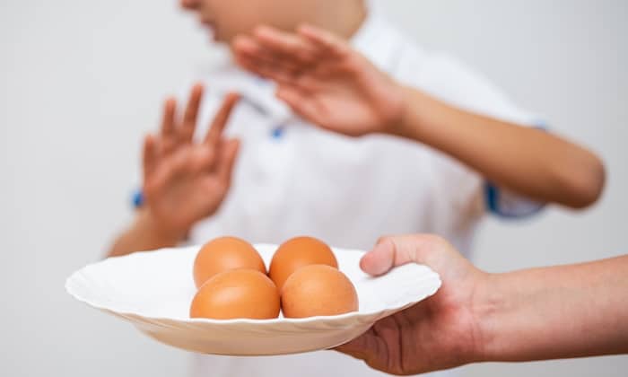 ภูมิแพ้ไข่ (Egg Allergy)