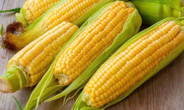 ข้าวโพด ประโยชน์ต่อสุขภาพ และข้อควรระวัง