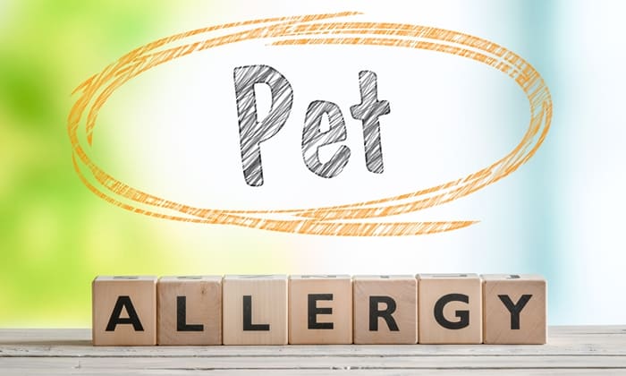 ภูมิแพ้สัตว์เลี้ยง (Pet allergy)