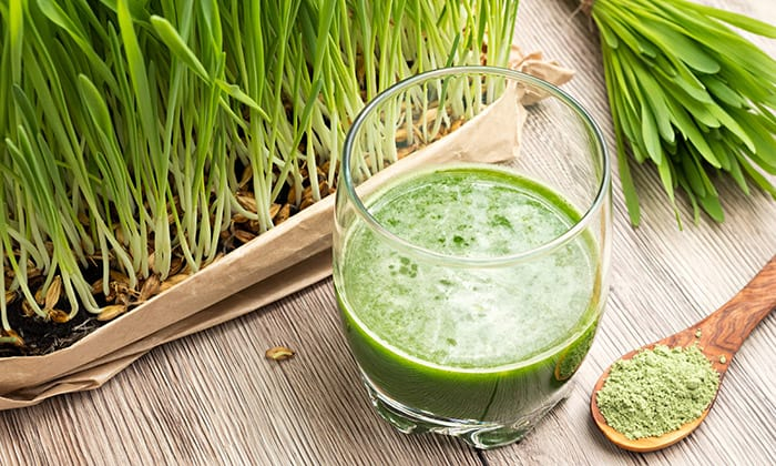 ต้นอ่อนข้าวบาร์เลย์ สมุนไพรจากธรรมชาติ เพื่อผิวสวย สุขภาพดี