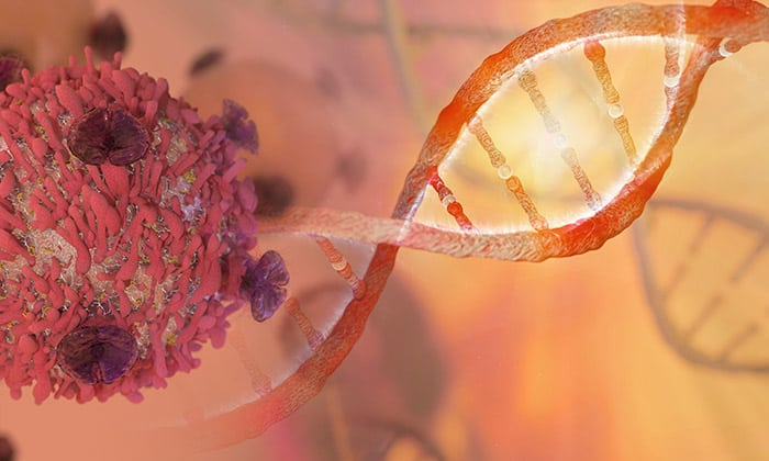 เซลล์มะเร็ง เซลล์ต้นเหตุโรคร้าย แล้วเรามีเซลล์นี้ไหมนะ