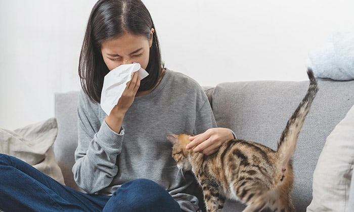 โรคภูมิแพ้สัตว์เลี้ยง และอาการเบื้องต้น ที่คนรักสัตว์ควรรู้