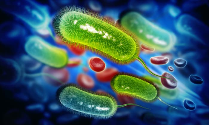 กินอาหารร่วมกัน โดยไม่ผ่านช้อนกลาง ระวัง เชื้อเอชไพโลไร จะถามหาคุณ!