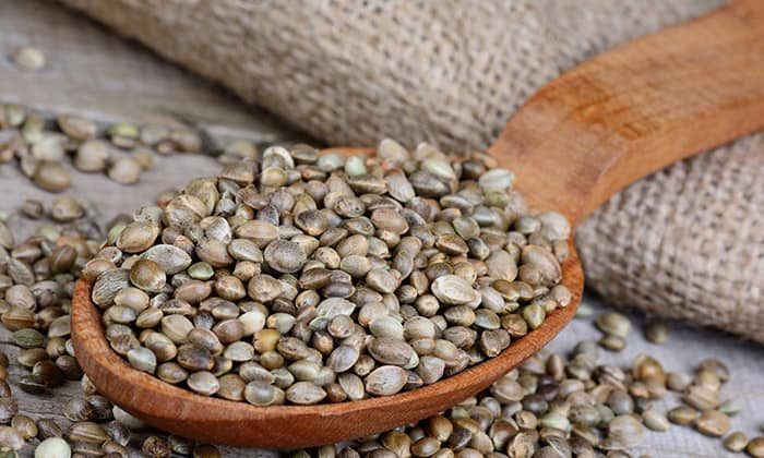 เมล็ดเฮมพ์ ตัวช่วยหุ่นสวย ไม่ง้ออาหารเสริม