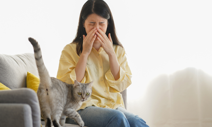 อาการแพ้ขนแมว หนึ่งในโรคภูมิแพ้ ที่ทาสแมวทั้งหลายควรรู้