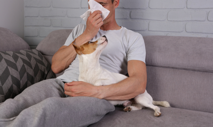 ทาสน้องหมาโปรดระวัง อาการแพ้ขนสุนัข ที่อาจเกิดกับคุณขึ้นโดยไม่รู้ตัว