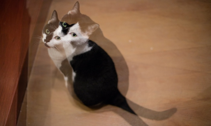 เห็นภาพซ้อน ไม่ได้หลอนไปเอง แต่ความผิดปกติของดวงตา