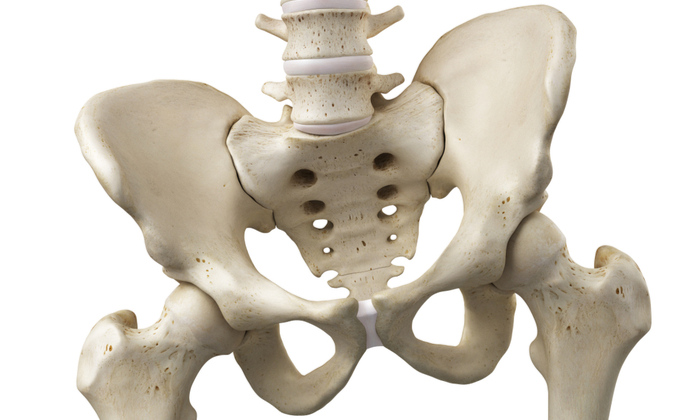 กระดูกเชิงกราน คืออะไร มาทำความรู้จักกันเถอะ