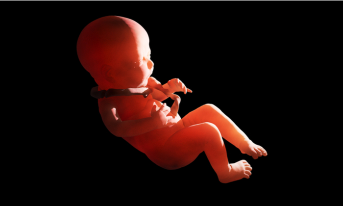 สายสะดือพันคอ สาเหตุและปัจจัยเสี่ยงที่ควรรู้