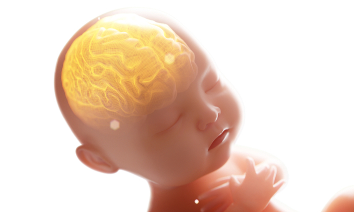 ปัญหาสมองในทารกคลอดก่อนกำหนด ประเภท และการป้องกัน