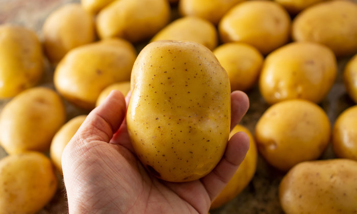 มันฝรั่ง สารอาหาร ประโยชน์ และข้อควรระวังในการบริโภค